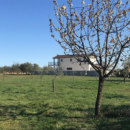Villa Lydia Marčana Zewnętrze zdjęcie
