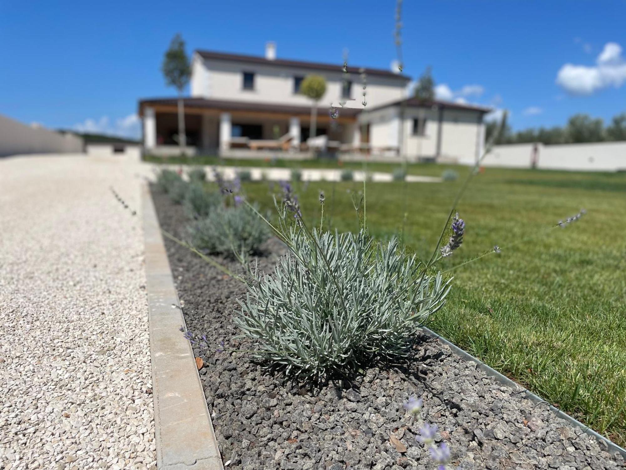 Villa Lydia Marčana Zewnętrze zdjęcie